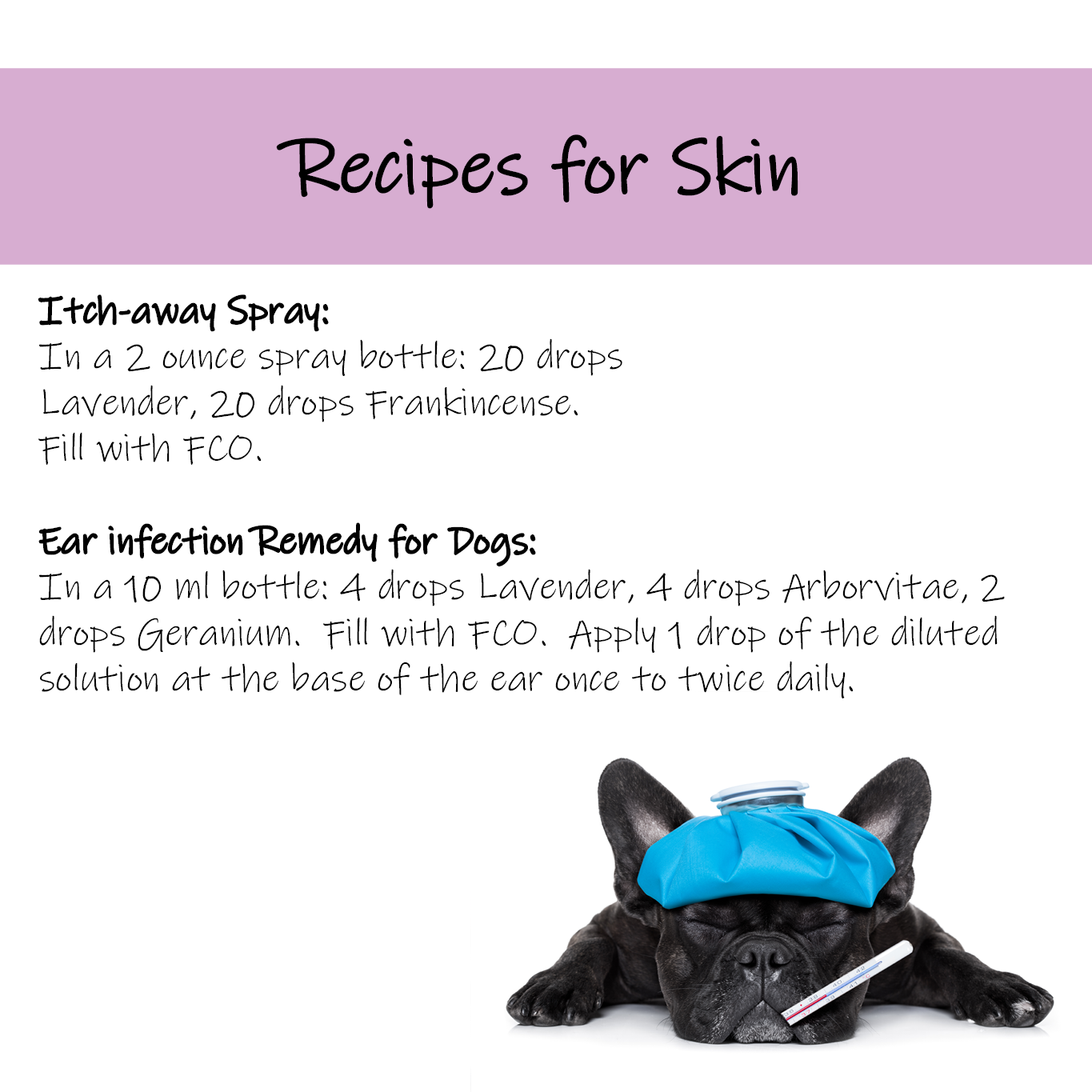 Pet recipe 4