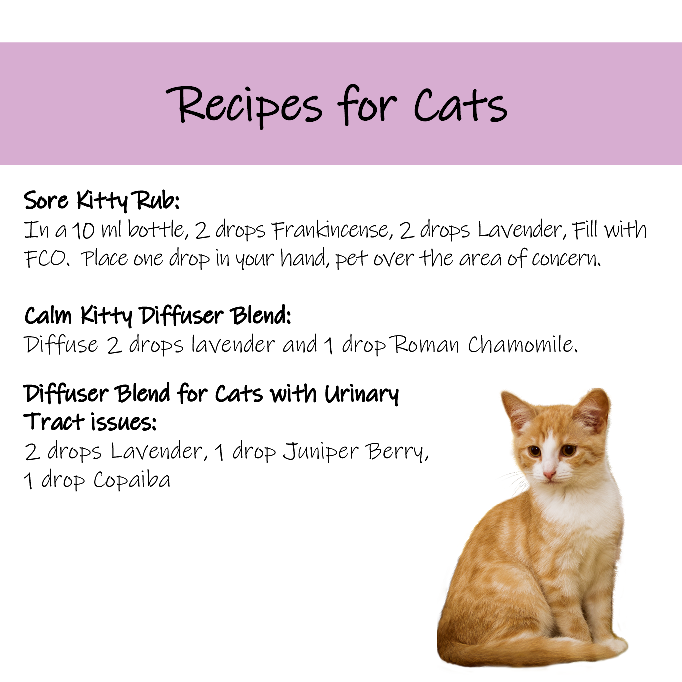 Pet recipe 5